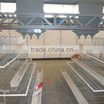 automatic chicken feed system and chicken cages