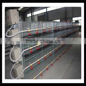 Hot Galvanized Automatic Design Chicken Cage for Broilers and Baby Chicks