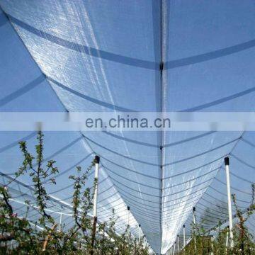 Fruit tree netting lowes anti bird/anti hail screen