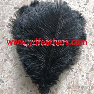 Ostrich Feather/Plume Dyed Black For Wholesale