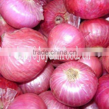 Fresh Red onion in China