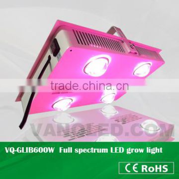 GLIB 600W COB led grow light for hydroponic growing systems