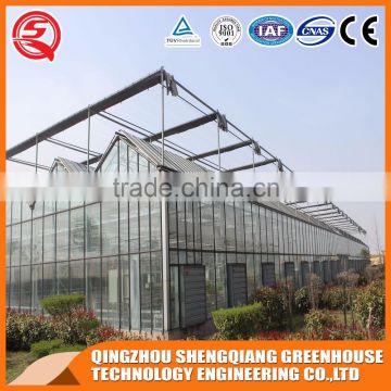 Factory outlet large Multi-span glass agricultural-commercial Greenhouses