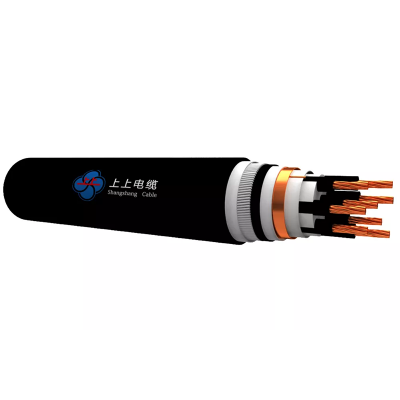 Control Cable With XLPE Insulated 0.6/1kV