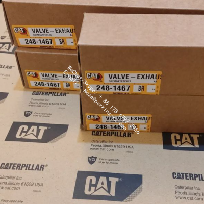 CAT 2481467 248-1467 Pack of 6 VALVE EXHAUST for Caterpillar Engine C13  349E