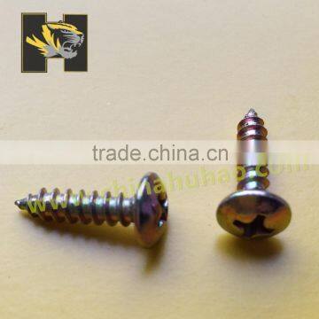 China supplier pan head self tapping screw to color steel board