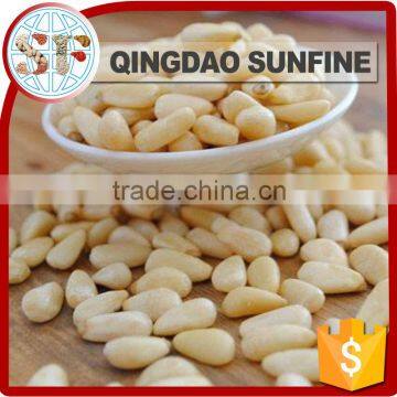 Health food bulk organic pine nuts