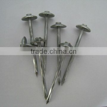 Square Twisted Roofing Nail
