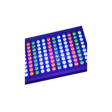 1000w RGB LED Floodlight