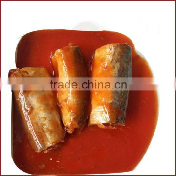 canned mackerel in chili tomato sauce 425gX24tins