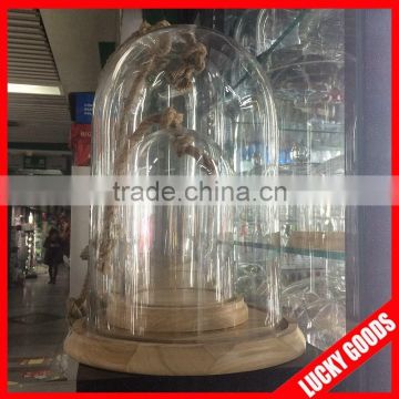 hot sale decorative cheese glass dome display with string