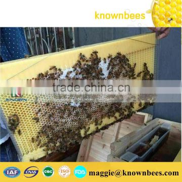 Beekeeping tools honey self-flowing Solid wooden bee hive/beehive for sale
