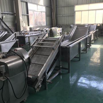 Industrial Vegetable Washer Sy-2416 Mixing Washing