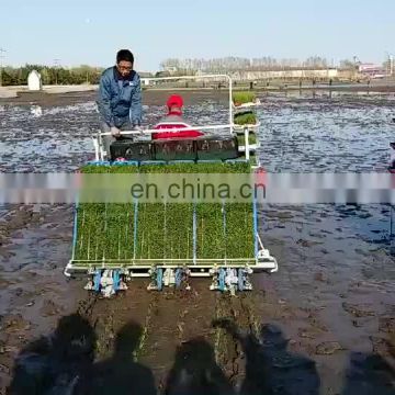 factory supplier  6 rows riding type  rice transplanter