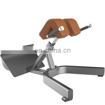 High quality gym equipment Back Extension of LZX-1035 / GYM Fitness Machine