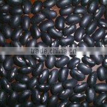 chinese black kidney beans