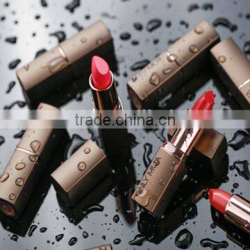 makeup professional manufacturer private label lipstick                        
                                                Quality Choice