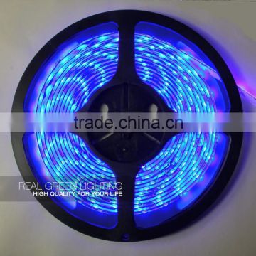 Non-waterproof Blue SMD 5050 12V LED Flexible Strip Light