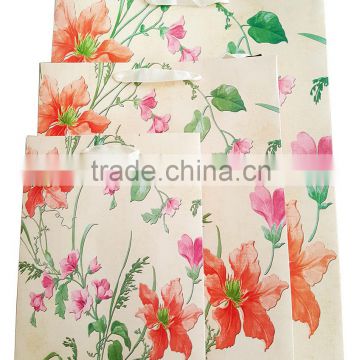 Manufacture wholesale CMYK printing laminated vanishing paper bag
