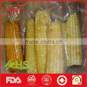 Vacuum packing sweet-waxy corn for wholesale