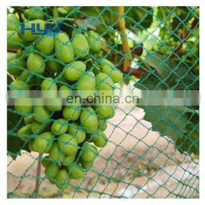 green anti bird protection net mesh for fruit trees