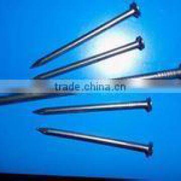 bulk nails loose nail with good quality