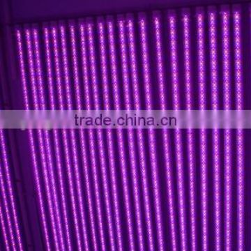 T5 and T8 LED Plant growth light for greenhouse 16W 2ft 4ft