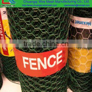 Professional factory price chicken wire mesh roll for sale