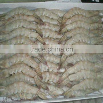 hoso vannamei shrimp.jpg