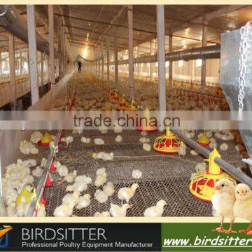 automatic chicken houses designs