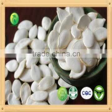 2015, Chinese Snow White Pumpkin Seeds supply directly from factory