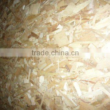 China OSB Factory/Linyi Shandong Cheapest 4*8 osb sheets