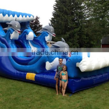 Hola giant dolphin inlfatable water slide for sale