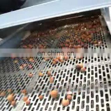 Taizy Automatic Hazelnut Cracking Huller Machine Plam Nut Shelling Machine