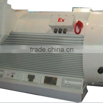 high voltage three phase explosion proof motor