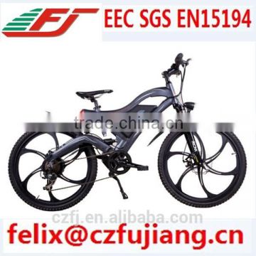 new design electric bicycle e bike CE SGS EN15194(FJ-TDE05)