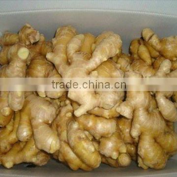 market prices for ginger/fresh ginger/fresh vegetable
