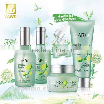 Angelica Tea Tree Acne Series