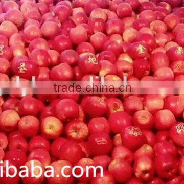 2015 red fuji apple