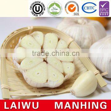Chinese normal white fresh garlic mesh bag carton