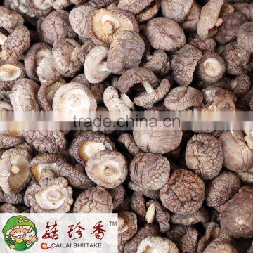 GMP Certified Shitake Mushroom/Lentinus Edodes extract Lentinan P.E.Polysaccharide