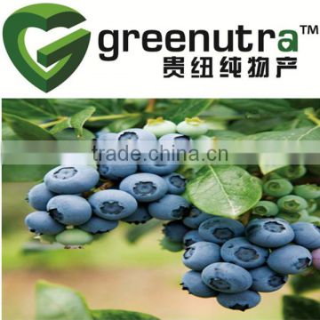 blueberry fruit extract