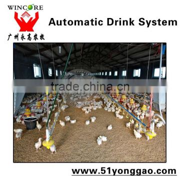 Poultry Auto. Watering System for Broil Chicken Chicken Watering System Livestock Drinking