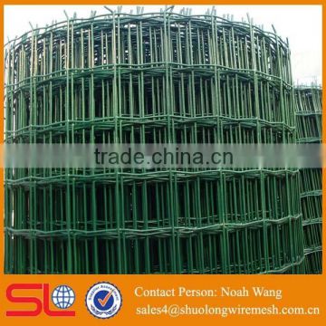 Popular in Europe market high quality green pvc coated holland wire mesh