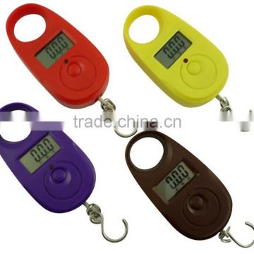 Fishing electronic scales