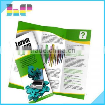 travelling guidence/ geography guide/ hotel introduction brochure printing services