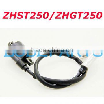 ZH 250CC ENGINE PART Ignition Coil For ZHST/ZHGT SERIES Wholesale and Retail