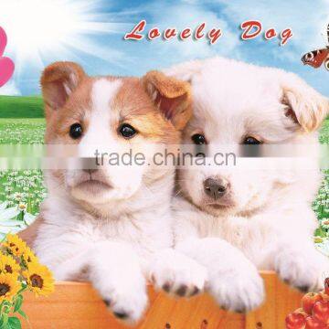 Xinlong lovely dog paper poster / wall picture