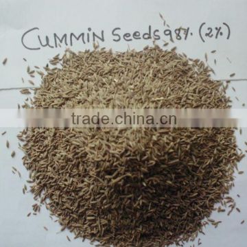 Europe quality Indian Cumin Seed