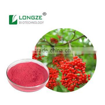Pure Natural with Herbal Extract- Elderberry Fruit Extract Powder Sambucus williamsii with Anthocyanindins 25%